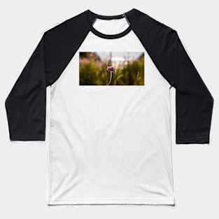 Field scabious flower in the meadow against the evening back sunlight Baseball T-Shirt